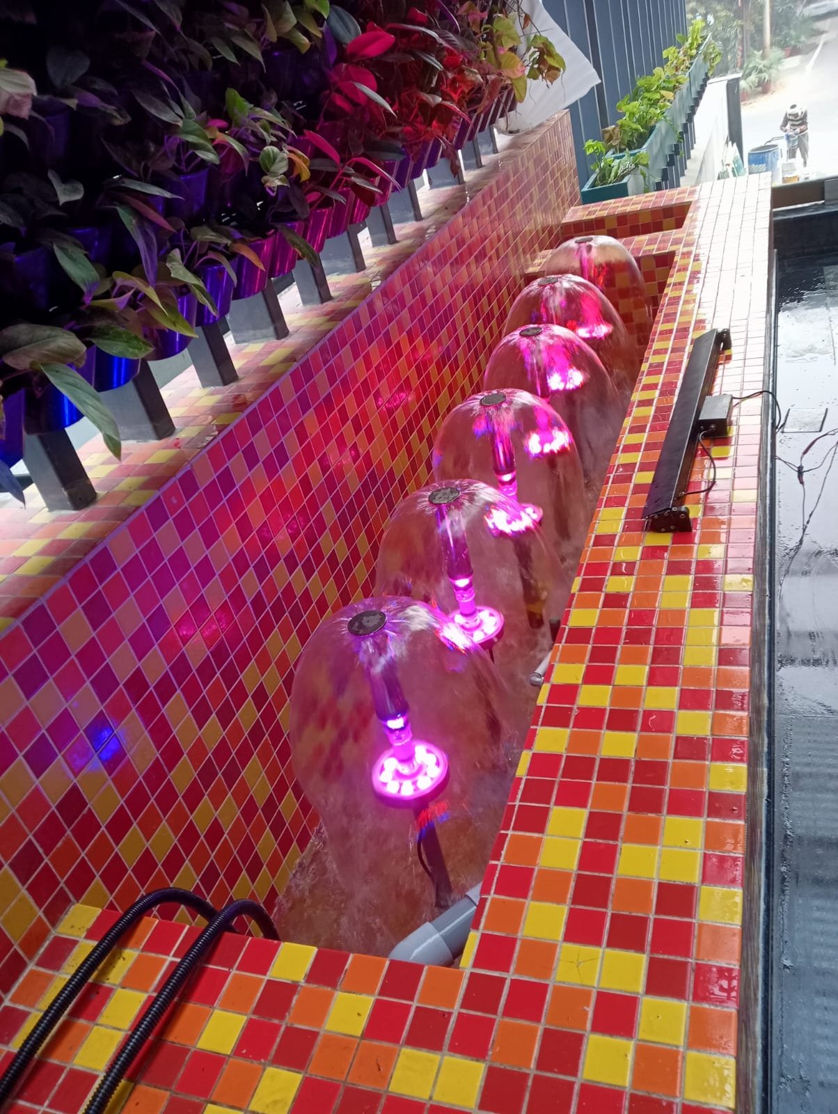 WhatsApp Image 2023-12-27 at 4.02.58 PM (1)