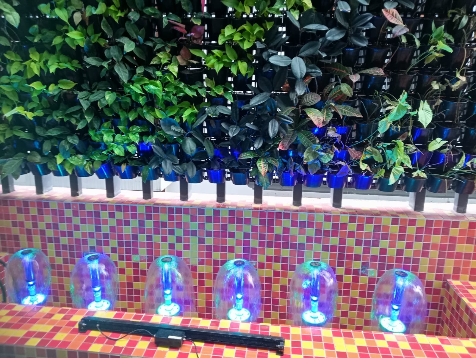 WhatsApp Image 2023-12-27 at 4.12.23 PM (1)